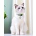 TagME 2 Pack Personalized Reflective Cat Collars with Bell - Green - Buy Online on GoSupps.com
