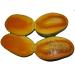 1kg Organic dried mango no added sugar no preservatives - Buy Online on GoSupps.com