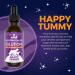 Jackson Galaxy Happy Tummy Pet Solution - Stress Relief & Toxin Cleanse - Aid for Stomach Issues - All-Natural & Reiki Infused (2 oz.) - Buy Online on GoSupps.com