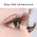 HomeSoGood 10 Pairs Brown Natural Look Wispy Cat Eye Mink False Eyelashes - Buy Online on GoSupps.com