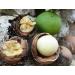 Tamanu Nut Duo - Natural Vegan Body Care Oil & Soap from Hawaii | 9.5oz - Shop Now for International Shipping - Buy Online on GoSupps.com