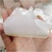 Natural Raw Pink Calcite Crystal Rough Stone Specimens Rose Decor Original Quartz Bulk (Size : 1kg in Bulk) - Buy Online on GoSupps.com