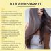 2PCS Ginseng Hair Growth Shampoo Cleansing Scalp Hair Follicles Anti Dandruff Oil Control Strengthen Hair Roots Moisturizing Shampoo - Buy Online on GoSupps.com