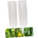 Toddmomy Garden Fruit Mould 4 Pcs Vegetable Shaping Mold Vegetables Vegetable Shaper Mold Cucumber Growth Molds Accessories - Buy Online on GoSupps.com