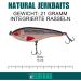 Elbfang Wobbler Jerkbait Set - 5 Artificial Fishing Lures for Pike & Zander | 90mm 21g - Buy Online on GoSupps.com