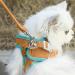 Fueegue Cat Harness & Leash - Escape Proof Adjustable Soft Harness for Cats & Dogs - Green L - Buy Online on GoSupps.com