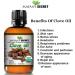 Mayan's Secret USDA Organic Pure Clove Stem Essential Oil - 1oz Natural Aromatherapy Oil for Wellness & Healing - Buy Online on GoSupps.com