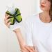 Buy Green Butterfly Hot Water Bottle with Plush Cover - Hand Warmer for Adults & Kids - 26.5x15.3cm - Fast International Shipping - Buy Online on GoSupps.com