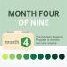 NutraMedix Cowden Support Program Month 4 - Herbal Detox Protocol with Banderol, Burbur-Pinella, Samento, Cat's Claw & More - 14 Piece Set for Detox & Immune Support - Buy Online on GoSupps.com