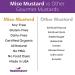 HealthSavor Organic Miso Mustard 1.0oz, Vegan, Soy-Free, No Sugar, No MSG - Umami Mustard with Chickpea Miso, Yellow - Pack of 1 - Buy Online on GoSupps.com