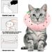 Soft Adjustable Crazy Bean Postoperative Protective Collar for Cats - Comfortable Safe Strawberry Kitten Collar - Buy Online on GoSupps.com