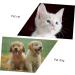 DOITOOL 2pcs Pets Cat Care Puppy Soft-bristle Pet Oral Cleaners Portable Cleaning Manual Tooth Supplies Dog 1 count (Pack of 1) White - Buy Online on GoSupps.com