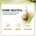 Snail Face Cr me anti-escargots - Extrait de s rum pour le visage - S rum - S cr tions naturelles - Extrait de mucus - Cr me hydratante l'escargot - R duit la perte de lifting et raffermit la peau - Buy Online on GoSupps.com