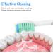 Senyum Replacement Toothbrush Heads for Philips Sonicare E-Series - Compatible with Sonicare Essence Electric Toothbrush - 4 Pack - Buy Online on GoSupps.com