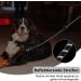 Premium Adjustable Dog Leash for Large & Medium Dogs | 3m1 with Reflective Stripes & Double Linen Reinforcement - Buy Online on GoSupps.com