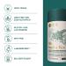 Buy Bio Kapha Tea - 25 Bags of High-Quality Ayurvedic Herbal Tea with Ginger Black Pepper & Fennel | Certified & Sustainable - Buy Online on GoSupps.com