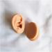 Simulation Ear Model Artificial Ear Model - Soft Silicone Ear Model - for Acupuncture Ear Picking Practice Studs Earring Display Props - Buy Online on GoSupps.com