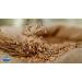 Postum Wheat Bran & Molasses Coffee Substitute - 8oz | Natural Blend Caffeine-Free Coffee Alternative for Breakfast | Tasty, Rich, and Healthy - Gourmet Pantry Pack | Original Flavor - 1 Pack - Buy Online on GoSupps.com
