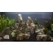 Wyskont Slate Stones - Natural Aquarium & Terrarium Decoration - 1kg Wooden Look Stones & Cave - Premium Aquascaping Accessories - Buy Online on GoSupps.com
