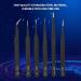 Stainless Steel Styling Tools & Appliances for Women's Facial Hair Eyelash & Eyebrow Waxing Kit - Precision Eyebrow Tweezers Included in This Essential Tweezer Set - Buy Online on GoSupps.com