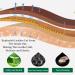 Wise Owl Furniture Salve & Brush - Leather Care & Restoration | 1 Pc | Premium Furniture Salve for Home - Buy Online on GoSupps.com