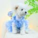 BT Bear Smally Disching Puppy Skirt & Tutu Dress for Small Dogs & Cats - Princess Bow Wedding Outfit (Size L Blue) - Buy Online on GoSupps.com