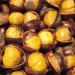 Wang Organic Roasted Chestnuts 2.11oz (Pack of 5) - Shelled & Easy to Eat - Buy Online on GoSupps.com