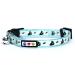 Pawtitas Glow in The Dark Cat Collar with Safety Buckle and Removable Bell Cat Collar Kitten Collar Cat Collar Teal