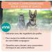 NUTRIVET INNE Salmon Oil for Dogs & Cats - 100ML Pump | Omega 3 & 6 Supplement - Buy Online on GoSupps.com
