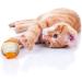 4-Pack Eco-Friendly Sisal Rope Balls for Cats - Interactive Scratch Toys & Pet Play Accessories - Buy Online on GoSupps.com