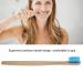 Soft Nylon Toothbrush - 6 Recyclable Colors for Effective Oral Care | Eco-Friendly Blue Toothbrush for All Ages - Buy Online on GoSupps.com