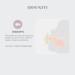 BIBSS Boheme Schnuller 2 Pack - BPA-Free Cherry Nipple | Size 1 (0-6 Months) | Blossom & Dusky Lilac | International Shipping - Buy Online on GoSupps.com
