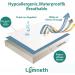 Washable Bed Pads for Incontinence  Lymneth 4-Layer Reusable Incontinence Bed Pad 34''Ã72''  Skid Resistant Soft Pad  Absorbent Pads for Bed Wetting Incontinence Individuals  Kids Adults  Pets 34x72 Inch (Pack of 1) - Buy Online on GoSupps.com