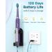Sonic Electric Toothbrush for Adults and Kids - 8 Replacement Heads, 5 Modes, 120 Days Use, Fast Charge - Purple - Buy Online on GoSupps.com
