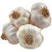 Humis Crispy Fried Garlic Flakes 160g - Premium Quality Fried Garlic Flakes - Buy Online on GoSupps.com