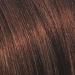 L'Oreal Feria 45 Deep Bronzed Brown Hair Color - Multi-Faceted Shimmer, 1 Application - Buy Online on GoSupps.com
