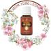 Young Living JuvaCleanse 15 ml - Natural Detox Essential Oil Blend for Aromatic Cleansing - Premium Greek Remedies - Buy Online on GoSupps.com