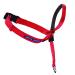 PetSafe Gentle Leader Collar with Training DVD Large Red