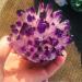 Natural Crystal Cluster Amethyst Specimen Purple Quartz Rough Crystals for Home Full of Texture