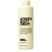 Authentic Beauty Concept Replenish Conditioner | Damaged Hair | Seals Cuticle of Damaged Hair | Vegan & Cruelty-free | Silicone-free 8.4 Fl Oz (Pack of 1)