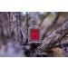 Acca Kappa Black Pepper & Sandalwood EDP 100ml - Buy Online on GoSupps.com