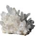 Natural Crystal Rough Natural Crystal Rough Natural Rare White Quartz Crystal Cluster SpecimenAntiques Exorcise Evil Spirits Money Drawing Semi-Precious Stone Jade Jewelry Jaspery Natural (Size : 350 350-400g