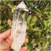 Collection Large Clear Lemurian Seed Quartz Natural Point Cluster Crystal Rough Healing - Buy Online on GoSupps.com