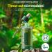 Buy Calming Green Essential Serum - Hydrating Vegan Ampoule for Acne 35ml | Super Centella Non-Greasy Paraben-Free Korean Skincare - Buy Online on GoSupps.com