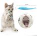 Effective Tree Belt for Cats & Raccoons 37 Wire Pieces for Ultimate Protection | International Shipping Available - Buy Online on GoSupps.com
