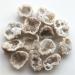Natural Magic 1pc Natural Agate Quartz Cluster Crystal Points Geode Minerals Specimen Wealth Gifts Natural s and Minerals ERBDRGAZ - Buy Online on GoSupps.com