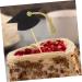 Garneck 10 Sets Cake Insert Top Hat Grad Party Decoration Graduation Cake Toppers Graduation Cake Decors Grad Cupcake Toppers 2024 Graduation Cupcake Toppers Cake Picks Paper Cup Graduate - Buy Online on GoSupps.com