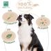 MENFORSAN Argan Oil Dry Shampoo for Dogs - 250ml | Gentle & Effective Dog Grooming Solution | Shop Internationally - Buy Online on GoSupps.com