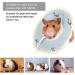 Small Pet Elizabeth Collar Protective Recovery Circle Soft Nursing Ring for Guinea Pig Rabbit Sugar Glider Blue L - Buy Online on GoSupps.com
