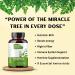 Moringa Capsule 1000 mg (120 Capsules) Moringa Powder Capsules Made from Organic Moringa Leaf Powder | Non-GMO Whole Green Super Food Nutrition 60 Days Supply 120 Count (Pack of 1) - Buy Online on GoSupps.com